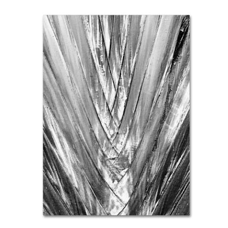 Patty Tuggle 'Black And White Palm 4' Canvas Art,24x32